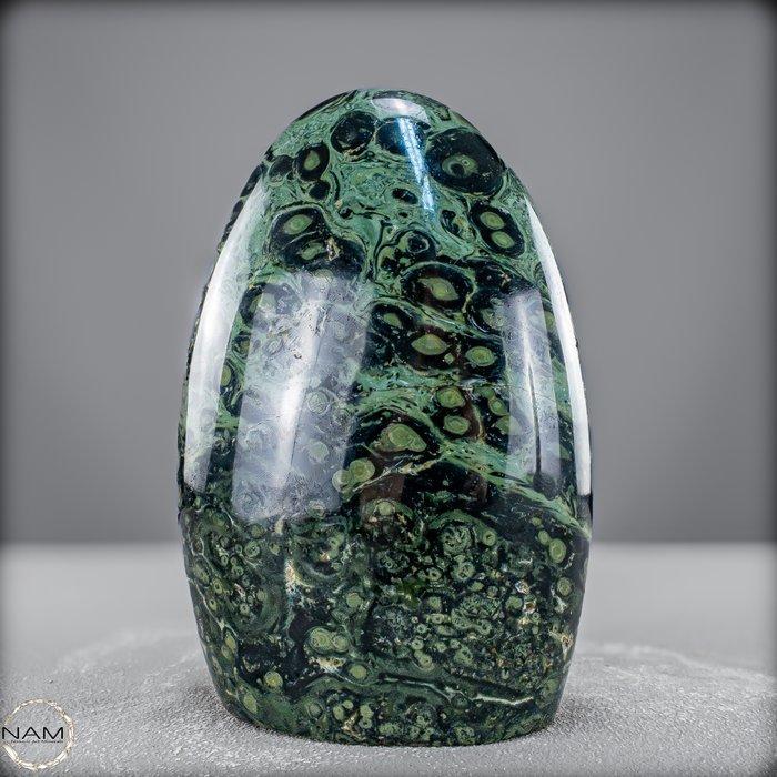 Natuurlijke Kambaba-vrije vorm Het groene fossiel van het, Verzamelen, Mineralen en Fossielen