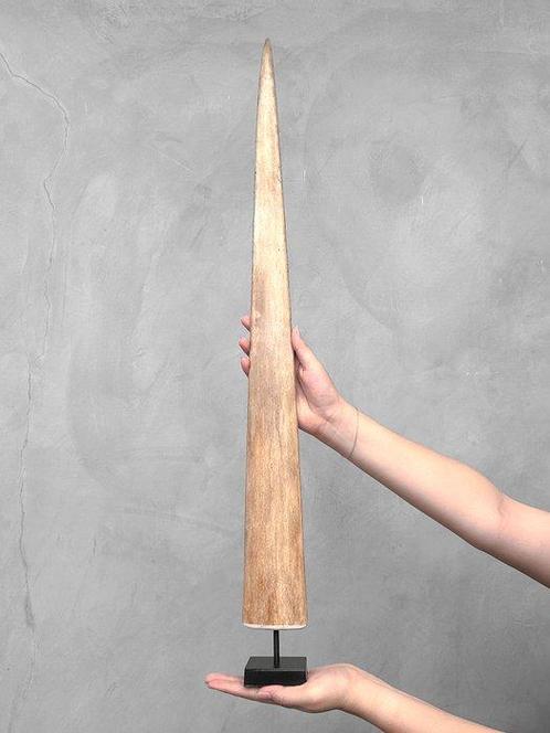 PAS DE PRIX DE RESERVE - Défense despadon montée sur un, Antiek en Kunst, Kunst | Designobjecten