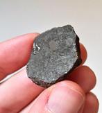 Geen reserve. Vaca Muerta. Mesosideriet meteoriet - 20.1 g