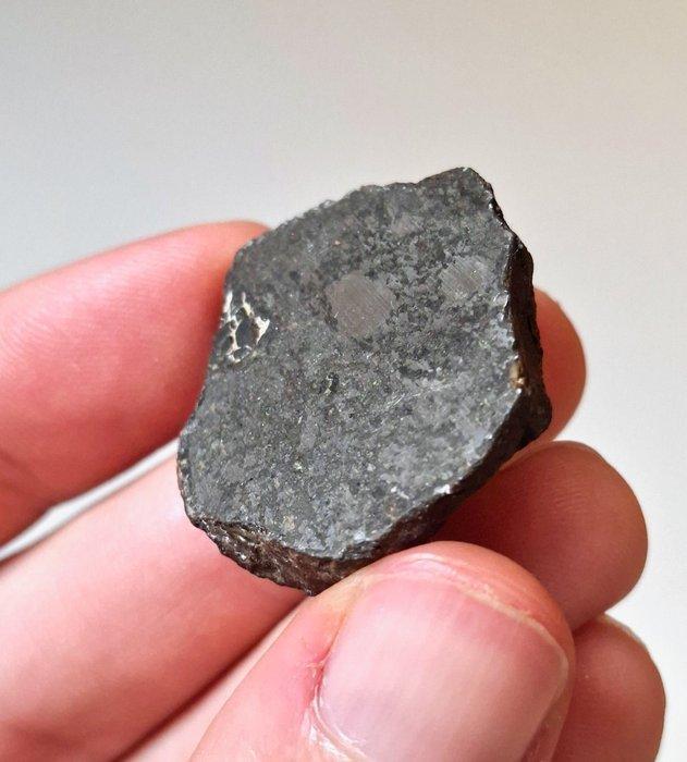 Geen reserve. Vaca Muerta. Mesosideriet meteoriet - 20.1 g, Collections, Minéraux & Fossiles