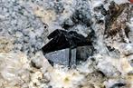 Merveilleux étincelant Anatase du Pakistan - Hauteur : 7.3