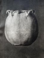 Karl Blossfeldt (1865-1932) - Wundergarten Der Natur - 1932, Antiek en Kunst, Kunst | Schilderijen | Modern