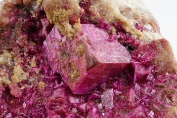 Cristaux de dolomite cobaltoan rose intense sur la matrice -