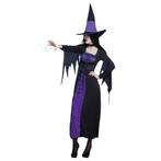 Halloween Heks Kostuum Paars, Verzenden, Nieuw