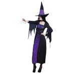 Halloween Heks Kostuum Paars, Kleding | Dames, Nieuw, Verzenden