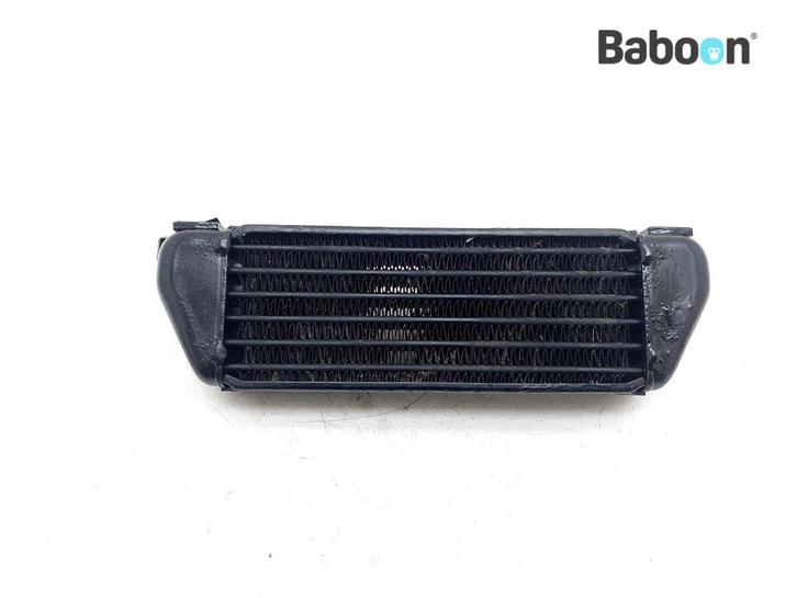 Oliekoeler BMW R 1100 GS (R1100GS 94), Motoren, Onderdelen | BMW, Gebruikt, Verzenden