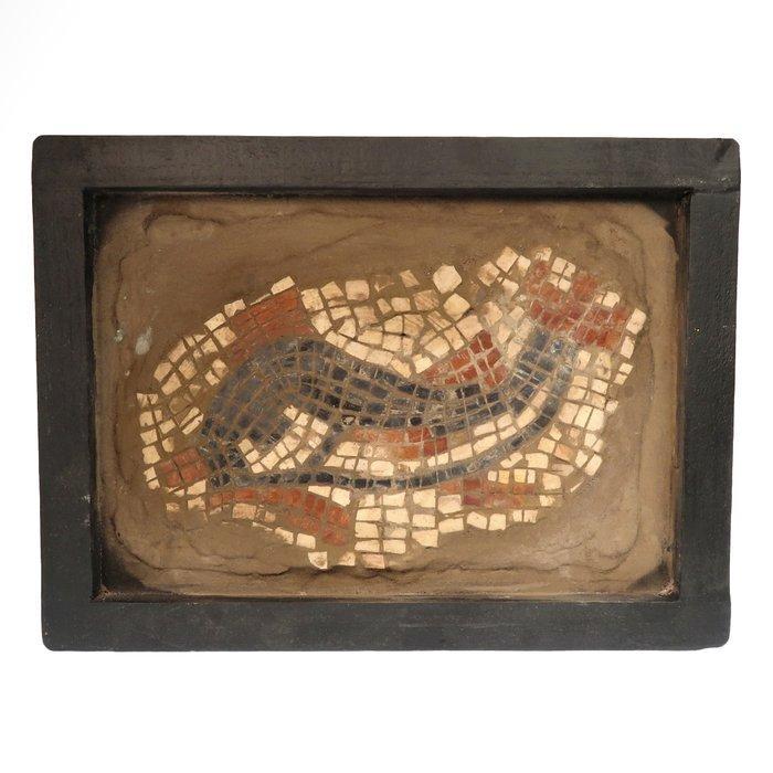 Oud-Romeins Steen Mozaïekpaneel met dolfijn, Antiek en Kunst, Antiek | Overige Antiek