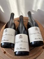 2022 Alex Moreau - Chassagne-Montrachet - 3 Flessen (0.75, Nieuw