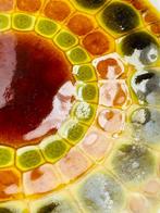 Mid-century modern Tegel (3) - Modernistisch met een