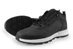Timberland Sneakers in maat 43 Grijs | 5% extra korting, Kleding | Heren, Schoenen, Overige kleuren, Verzenden, Timberland, Sneakers