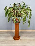 Table à plantes - Bois - Piédestal en bois, Antiquités & Art