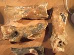Reuze hert Set botten - Megaloceros giganteus - 10 cm - 30