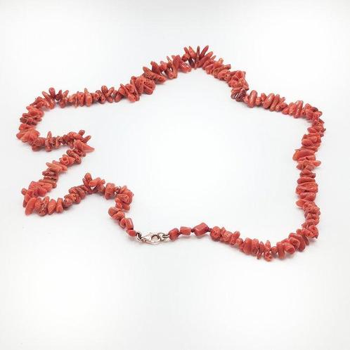 Bloedkoraal Koraal - Corallium rubrum (Zonder Minimumprijs), Antiek en Kunst, Curiosa en Brocante