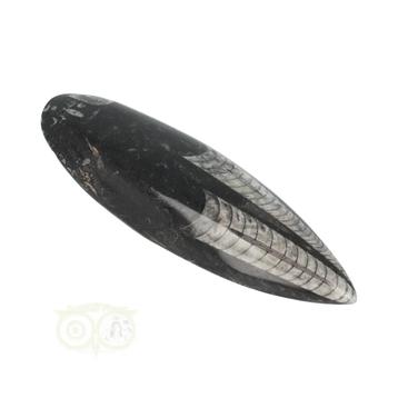 Orthoceras Fossiel geslepen Nr 24 - 181 gram, Bijoux, Sacs & Beauté, Verzenden