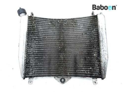 Radiateur KTM 1190 RC8 + RC8R 2008-2010 (69035010033), Motoren, Onderdelen | Overige, Gebruikt, Verzenden