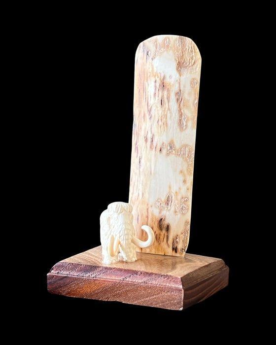 Mammouth laineux Os de défense - Mammoet Beeld. Gemaakt van, Verzamelen, Mineralen en Fossielen