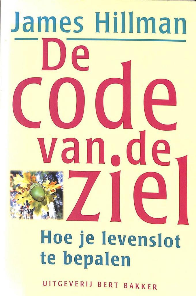 De code van de ziel 9789035118645 J. Hillman, Boeken, Psychologie, Gelezen, Verzenden