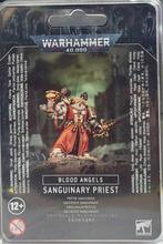 Blood Angels Sanguinary Priest (Warhammer 40.000 nieuw), Ophalen of Verzenden