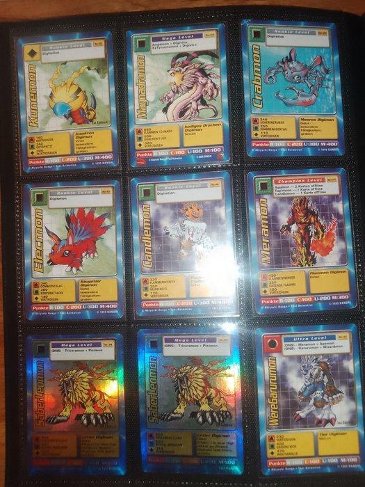 Panini - 244 Card, Verzamelen, Overige Verzamelen