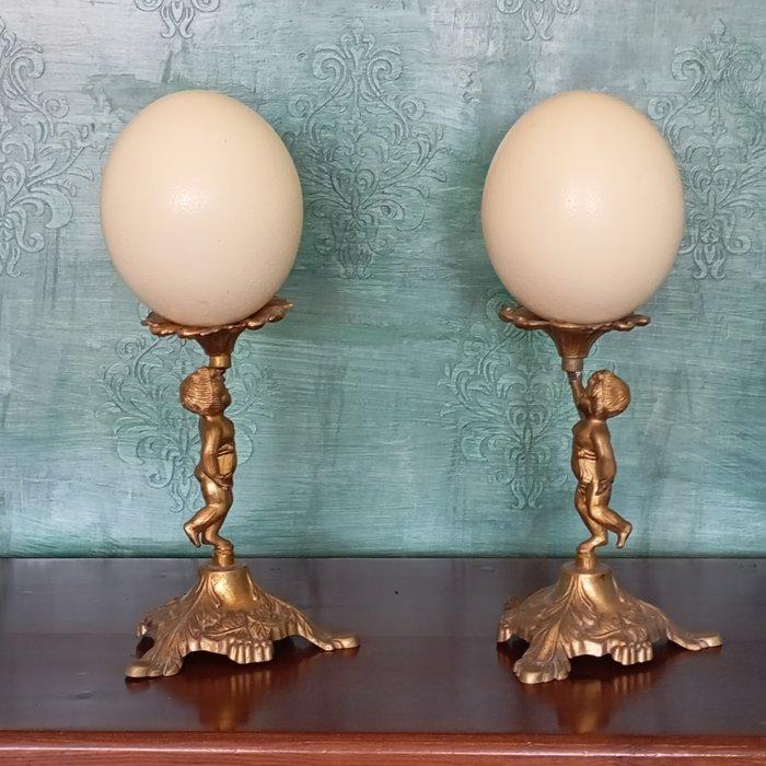 Struisvogelei Ei - Struthio Linnaeus - 370 mm - 160 mm - 170, Antiek en Kunst, Curiosa en Brocante