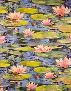 Claude Monets weefsel Le Ninfee op geverfd doek,