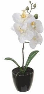 Witte Orchidee in pot Zijdenbloem 34 cm per stuk, Huis en Inrichting, Woonaccessoires | Kunstplanten en Kunstbloemen, Nieuw