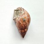 Oud Tibetaans of Nepalees Ritueel schelp met boeddhabeeld