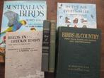 Robin Hill - Lot with 6 books about birds - 1934-1994