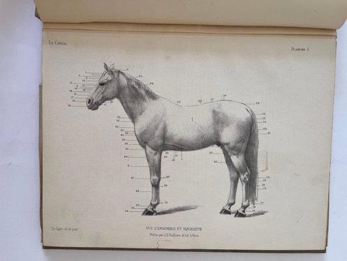Édouard Cuyer - Le Cheval - 3D + Extras - 1910, Antiek en Kunst, Antiek | Boeken en Manuscripten