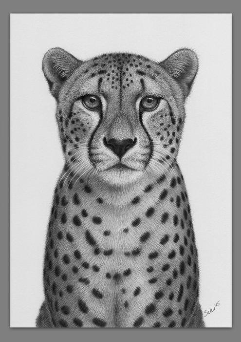 Schu - Cheetah, Antiek en Kunst, Kunst | Designobjecten