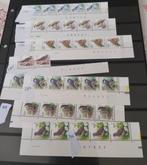 Belgique - Oiseaux Buzin, Gestempeld