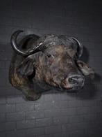 Large Cape Buffalo - Taxidermie wandmontage - Syncerus, Verzamelen, Nieuw