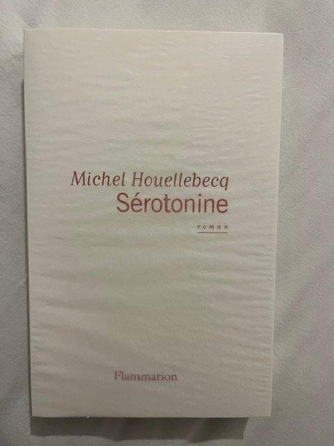 Michel Houellebecq - Sérotonine [exemplaire de tête sur, Antiquités & Art, Antiquités | Livres & Manuscrits