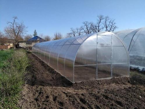 Tuinkas, serre, greenhouse 3m*12m*2m (b*d*h)+polycarbonaat, Tuin en Terras, Bergingen en Tuinkasten, Overige typen, Nieuw, Metaal