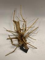 Driftwood Selected DW6 - 43x47x26cm (Small drift wood), Ophalen of Verzenden, Nieuw, Plant(en), Steen of Hout