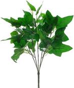 Hedera Groene Klimop Ivybush Large Zijdenbloem bundel, Nieuw