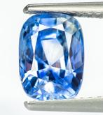 Zonder Minimumprijs Saffier  - 3.03 ct - Antwerp Laboratory, Handtassen en Accessoires, Edelstenen, Nieuw