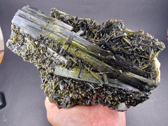 Tourmaline) Museum Verdeliet - Hoogte: 180 mm - Breedte: 140, Verzamelen, Mineralen en Fossielen