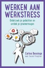 Werken aan werkstress 9789492528032 Carina Benninga, Verzenden, Zo goed als nieuw, Carina Benninga