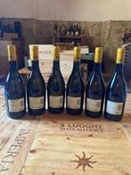 2024 Marchesi Antinori, Conte della Vipera - Umbrië - 6, Nieuw