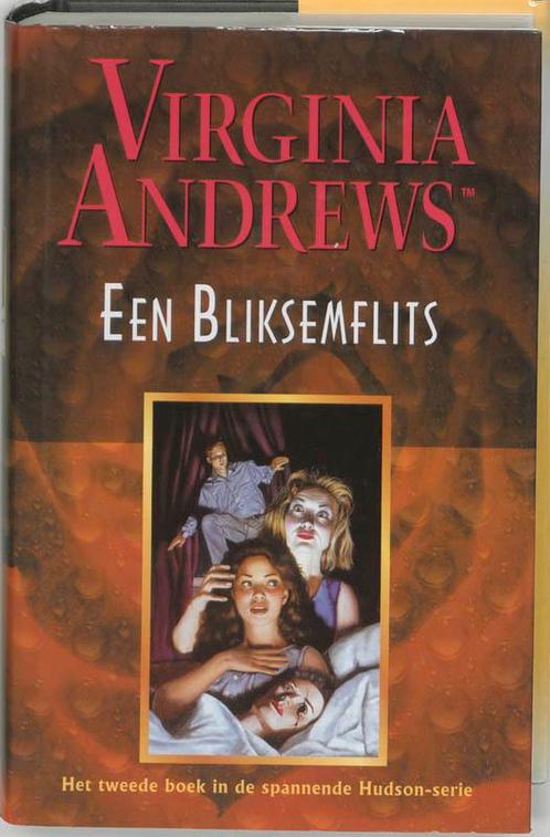 Een bliksemflits / Hudson-serie / 2 9789032507800, Livres, Contes & Fables, Envoi