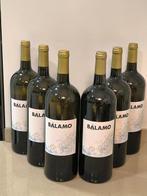 2024 Bodegas La Vereda Tierra y Vinos, Balamo - Rias Baixas, Nieuw