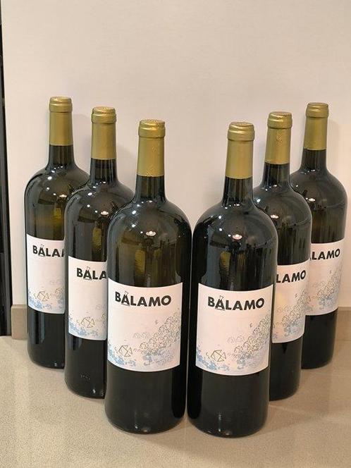 2024 Bodegas La Vereda Tierra y Vinos, Balamo - Rias Baixas, Verzamelen, Wijnen