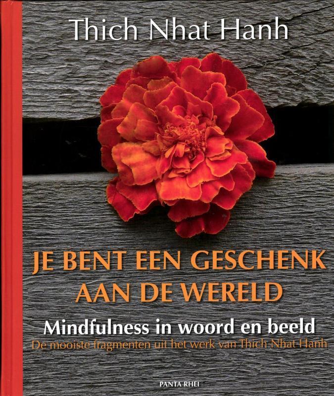 Je bent een geschenk aan de wereld 9789088400612, Livres, Ésotérisme & Spiritualité, Envoi