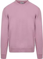 Colorful Standard Sweater Paars maat Maat 52/54 (L) Heren, Maat 52/54 (L), Verzenden, Paars, Colorful Standard