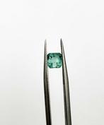 Zonder Minimumprijs - 1 pcs  Groen Smaragd  - 1.13 ct -