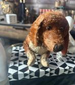 Steiff - Teddybeer Dachshound - 1910-1920 - Duitsland, Antiek en Kunst