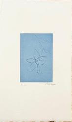 Genevieve Asse - Notes sur thème 2