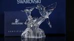 Figuur - Swarovski - Kolibrie (Boxed + Certificate) -