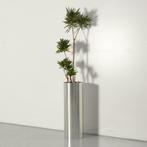 Echte plant met plantenbak, aluminium, 89 x 32 cm ø, Zakelijke goederen, Overige Zakelijke goederen, Ophalen of Verzenden